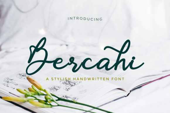 Beautiful Script Font for Designers