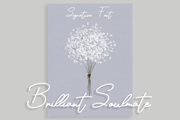 Brilliant Soulmate Review