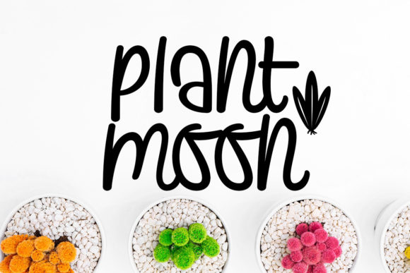 Plants and Moon: A Script Font for Soothing Typography