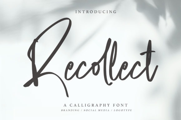 Script Font for Business Branding