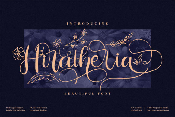 Script Font for Stronger Campaigns
