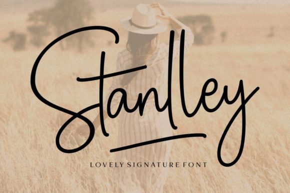 Stanlley: A Delicate Script Font