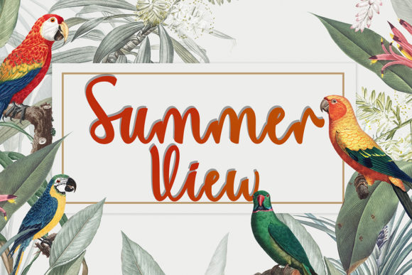 Summer View: A Script Font for Elegant Design
