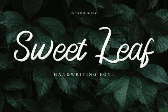 Sweet Leaf Font for Web Design
